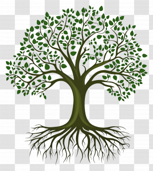 Tree With Roots - Tree Illustration With Visible Roots Transparent PNG