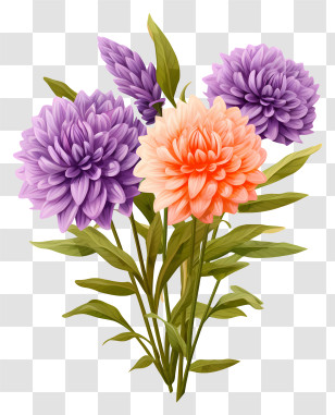 Chrysanthemum Flowers - Bouquet Of Blooming Flowers Transparent PNG