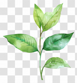 Green Leaf - Green Plant Watercolor Illustration Transparent PNG