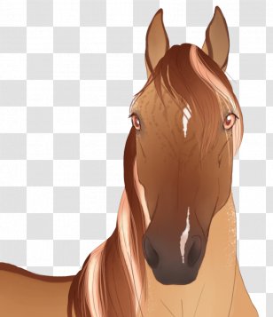 Mustang Mane Pony Stallion Rein - Horse - Western Pleasure Transparent PNG