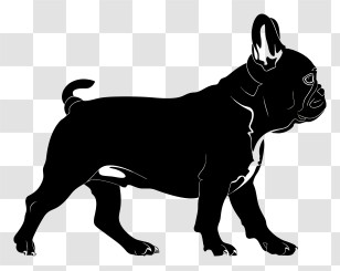 Dog Silhouette - Silhouette Of A Black French Bulldog Transparent PNG