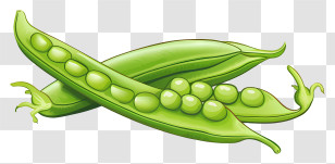 Pea Plant - Green Pea Pods With Fresh, Organic Appeal Transparent PNG