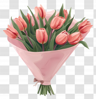 Tulips Bouquet - Pink Tulip Bouquet With Wrapping Paper Transparent PNG