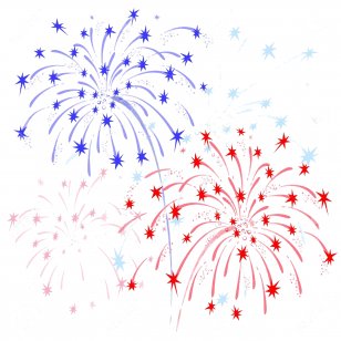 Vector Graphics Clip Art Fireworks Illustration Drawing - Plant Transparent PNG