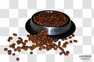 Dog Cat Croquette Raw Feeding Food - Eating - Medecine Transparent PNG