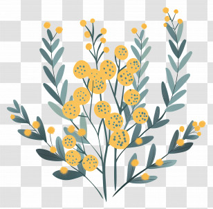 Small Flower - Yellow Mimosa Flowers Botanical Illustration Transparent PNG
