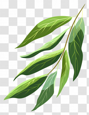 Willow Leaf - Green Leafy Branch Illustration Transparent PNG