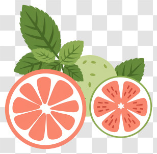 Lemons - Sliced Grapefruit With Leaves Illustration Transparent PNG