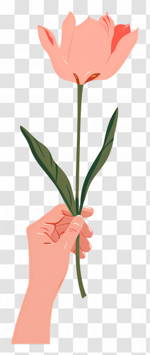World Kindness Day - Hand Holding Pink Tulip Illustration Transparent PNG