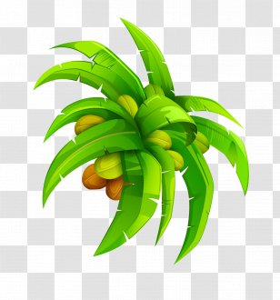 leaf coconut png images transparent leaf coconut images leaf coconut png images transparent