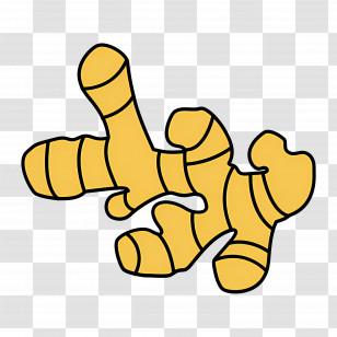 Turmeric - Ginger Root Illustration Design Transparent PNG