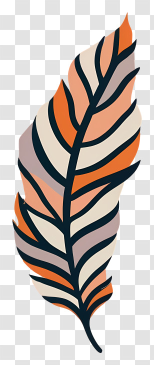 Feather Design - Colorful Feather Design Transparent PNG