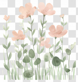 Watercolor Flowers - Peach Flowers With Greenery Transparent PNG