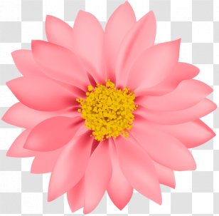 Award Competition Prize Excellence Medal - Petal - Romantic Flower Title Box Transparent PNG