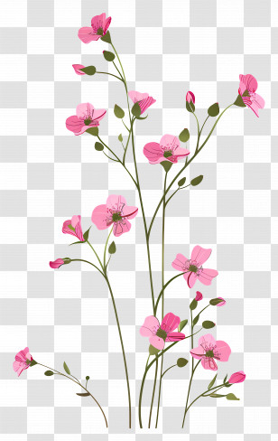 Pink Flowers - Beautiful Pink Wildflowers Illustration Transparent PNG