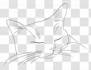 Cat Minimalist - Sleeping Cat Line Art Illustration Transparent PNG