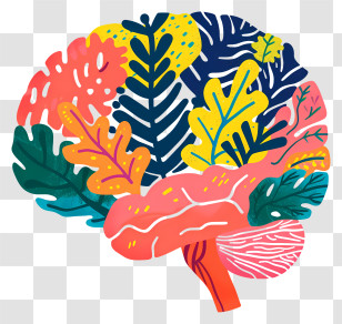 Brain Mind - Colorful Brain Design Representing Creativity Transparent PNG