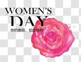 International Womens Day Woman March 8 Lancxf4me No - Text - Pink Flower Festive Decoration Transparent PNG