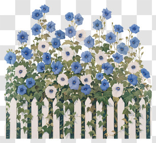 Garden Fence - Blue Morning Glories On Fence Transparent PNG