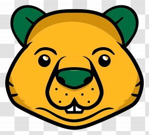 Beaver Face - Cartoon Bear Face Transparent PNG