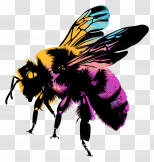 Bee Silhouette - Colorful Bee Illustration Transparent PNG