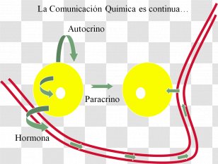 Chemistry Cell Hormone Reproduction Chemical Element - Biotecnologia Illustration Transparent PNG