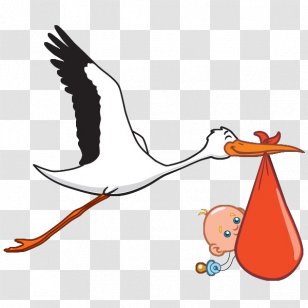 Crane Bird Clip Art Infant Vector Graphics Transparent PNG