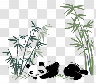 Sleeping Panda - Panda Resting Amid Bamboo Transparent PNG