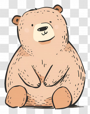 Bear - Cute Bear Illustration Transparent PNG