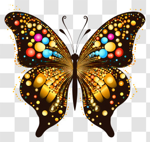 Butterfly - Colorful Decorated Butterfly Illustration Transparent PNG