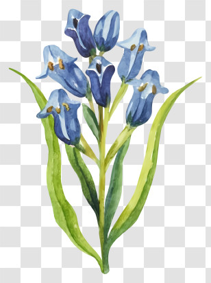 Blue Flower - Blue Bell Flowers Illustration Transparent PNG
