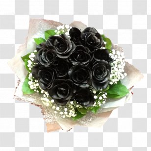 Garden Roses Cut Flowers Black Rose Transparent PNG