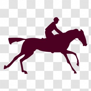 The Horse In Motion Equestrian Animals Photographer - Cinematograph - Sequence Vector Transparent PNG