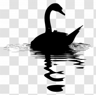Swan Silhouette - Black Swan Silhouette Reflecting On Water Transparent PNG