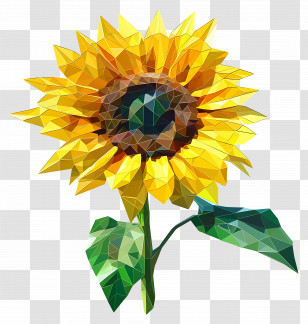Digital Art - Bright Sunflower Illustration Transparent PNG