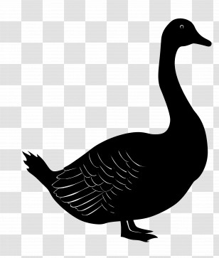 Goose Silhouette - Elegant Black Goose Silhouette Illustration Transparent PNG