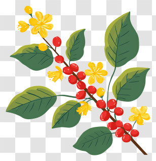 Coffee Tree Branch - Coffee Plant With Leaves And Berries Transparent PNG
