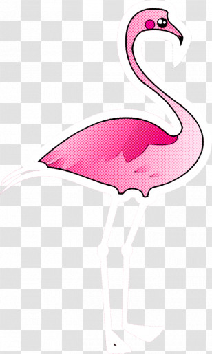 Flamingo Transparent PNG