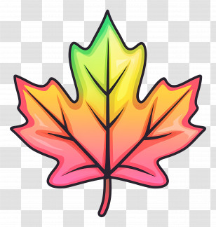 Autumn Maple Leaf - Colorful Leaf Illustration Transparent PNG
