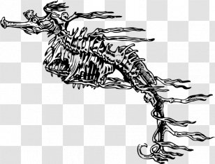 Book Clip Art - Mammal - Skeleton Vector Transparent PNG