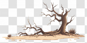 Dead Tree - Barren Dead Tree In Dry Desert Transparent PNG