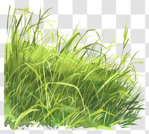 Grass Field - Illustration Of Lush Green Grass Field Transparent PNG