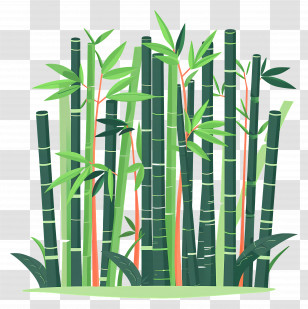 Bamboo Forest - Illustration Of Green Bamboo Plants Transparent PNG