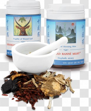 Traditional Chinese Medicine AkutnÃ­ Stav Disease Earl Grey Tea - Tcm Transparent PNG