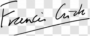 Catalan Wikipedia Encyclopedia Enciclopedia Libre Universal En EspaÃ±ol Arabic - Cort MBC-1 Matthew Bellamy Signature Transparent PNG