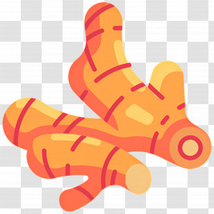 Fresh Ginger - Turmeric Root Illustration Transparent PNG