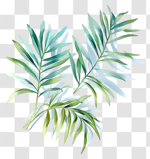 Palm Branches - Watercolor Green Leaves Transparent PNG