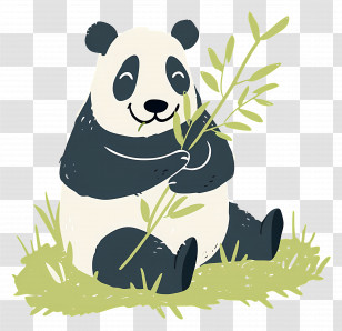 Panda Eating Bamboo - Panda Eating Bamboo Transparent PNG