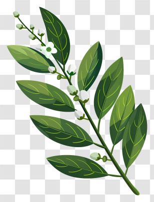 Cherry Laurel Leaf - Botanical Green Leaves Transparent PNG