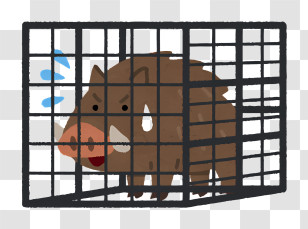 Icon - Caged Wild Boar Cartoon Transparent PNG